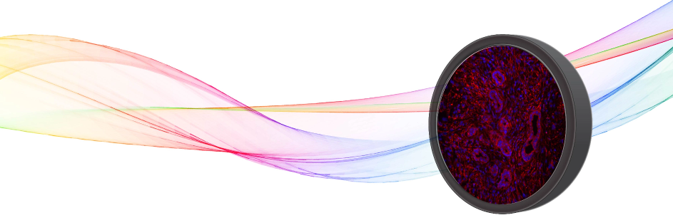 cost-effective-BrightLine-Basic Semrock BrightLine Basic filter sets for fluorescence imaging