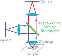 diagram illustrating a camera setup with an image-splitting dichroic beamsplitter