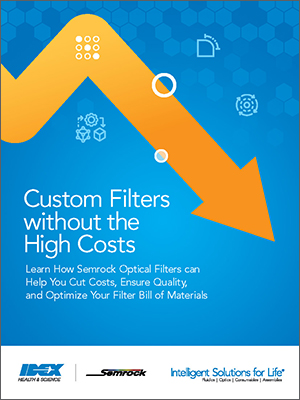 Download Custom Filters without the High Costs Guide