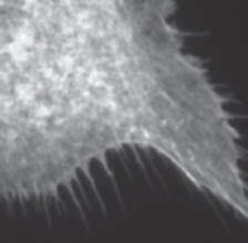 deviations from flatness have an effect on reflected wavefront error - the beam may acquire optical aberrations